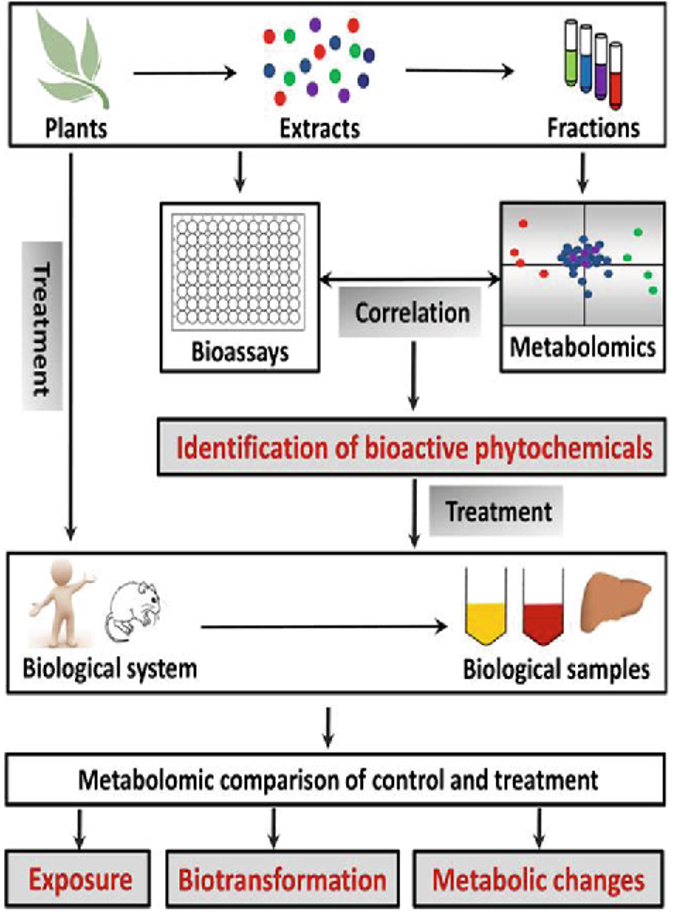 phytotherapeutics